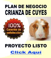 Plan de Negocio Crianza de Cuyes