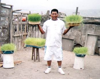 Alumno del Curso de Forraje Hidropónico