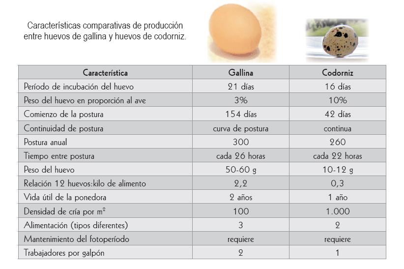 Comparación entre la Producción de Huevo de Gallina y Codorniz