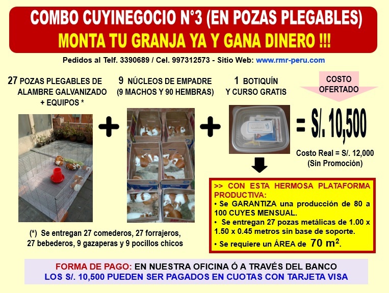 Crianza de Cuyes - Combo 3