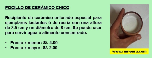 Pocillo cerámico chico