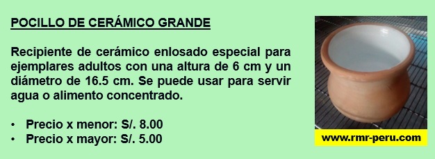 Pocillo cerámico grande