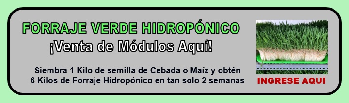 Venta de Módulos Hidropónicos