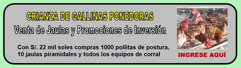 Crianza de Gallinas Ponedoras