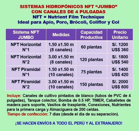 Sistemas Hidropónicos NFT con Canales de 4 Pulgadas