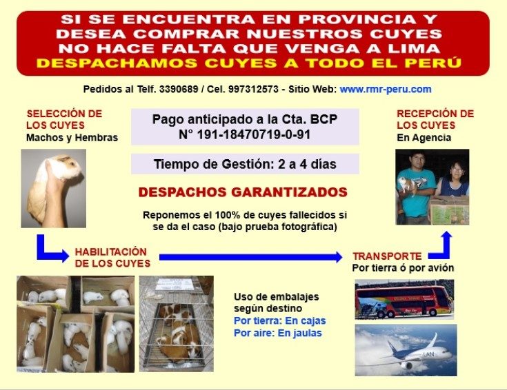 Despacho Cuyes a todo el Perú