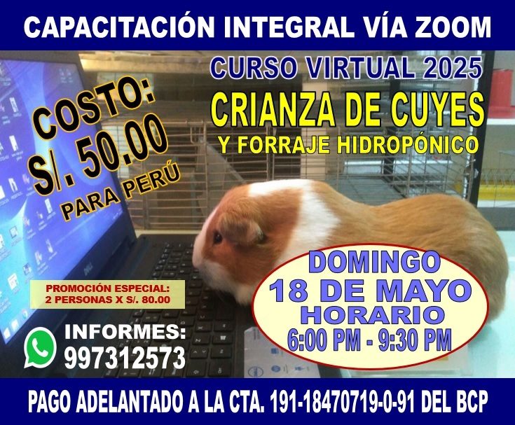 Curso de Crianza de Cuyes