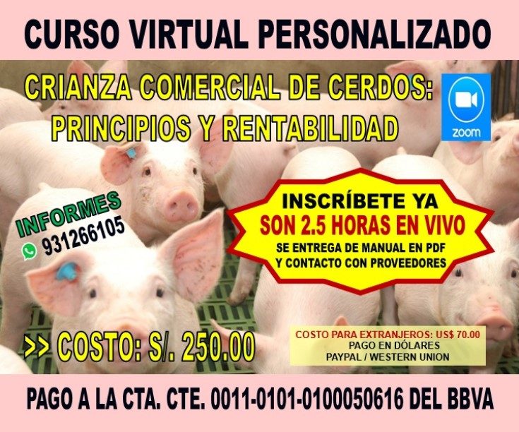 Curso Crianza de Cerdos