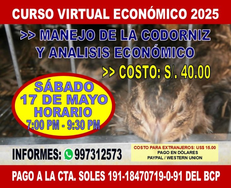 Curso de Codornices