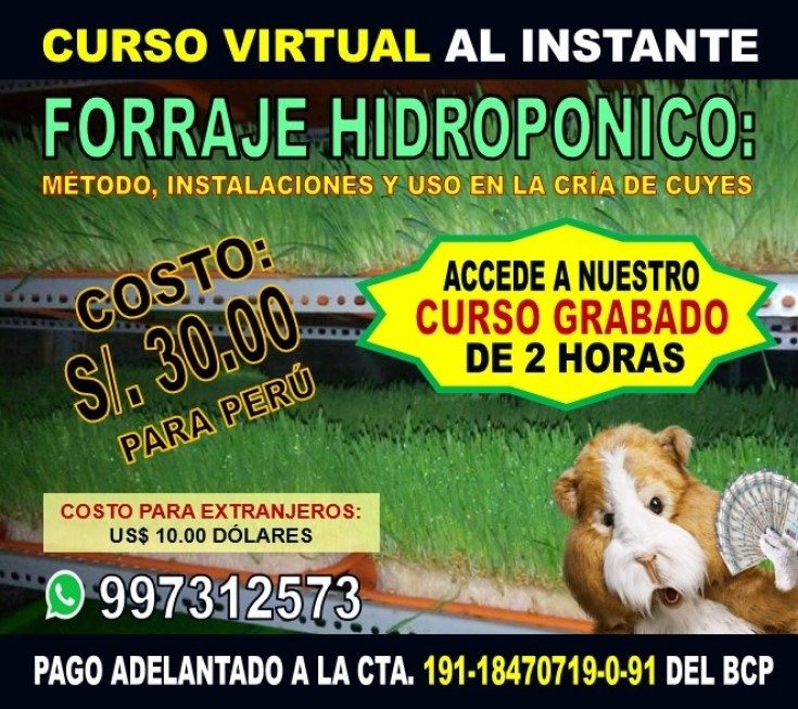 Curso de Forraje Hidropónico