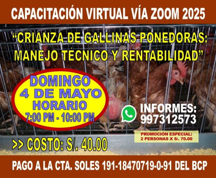 Curso de Gallinas Ponedoras