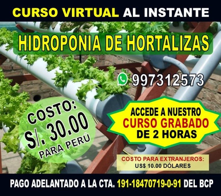Curso de Hidroponía