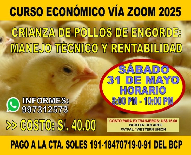Curso Crianza de Pollos