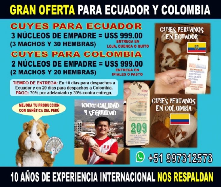 Venta de Cuyes para Ecuador y Colombia