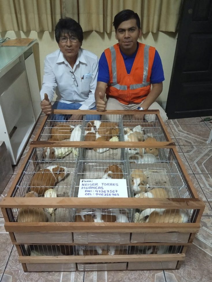 Despacho Aéreo de Cuyes