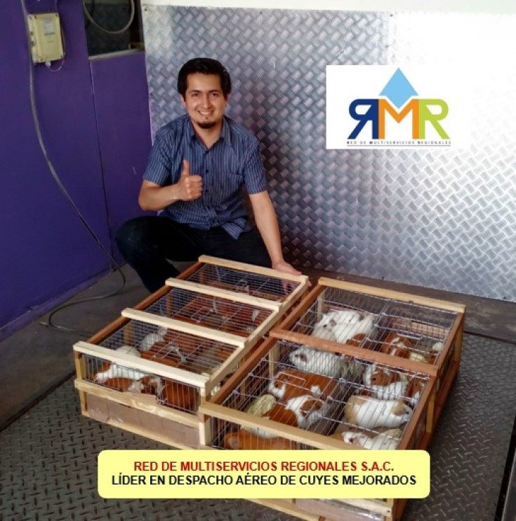 Despacho aéreo de cuyes