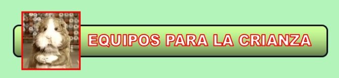 Equipos para la crianza de cuyes