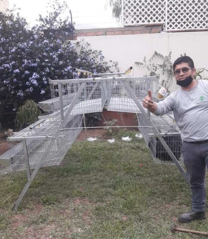 Jaula para Gallinas en pleno armado