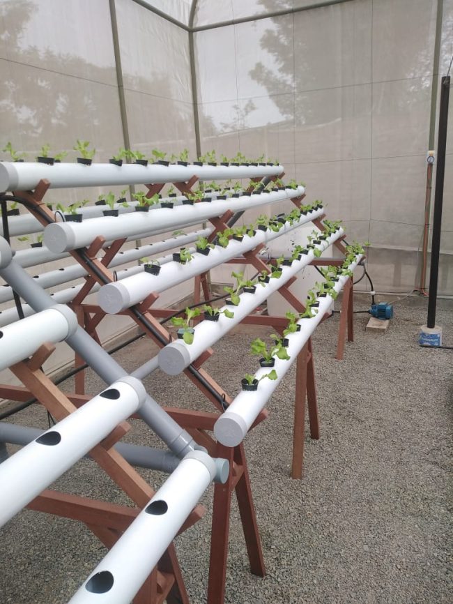 Módulo NFT Piramidal para 150 plantas