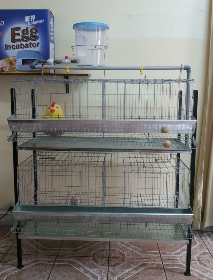 Módulo para 24 gallinas