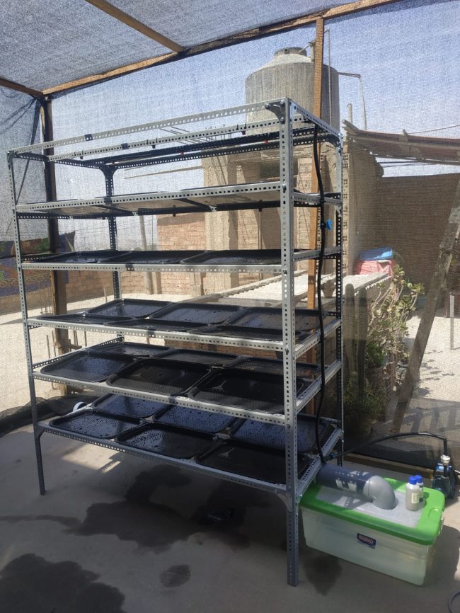 Módulo FVH automático