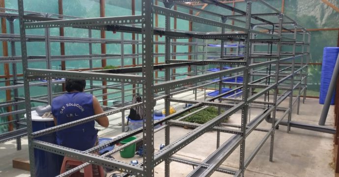 Instalación de Módulos Hidropónicos