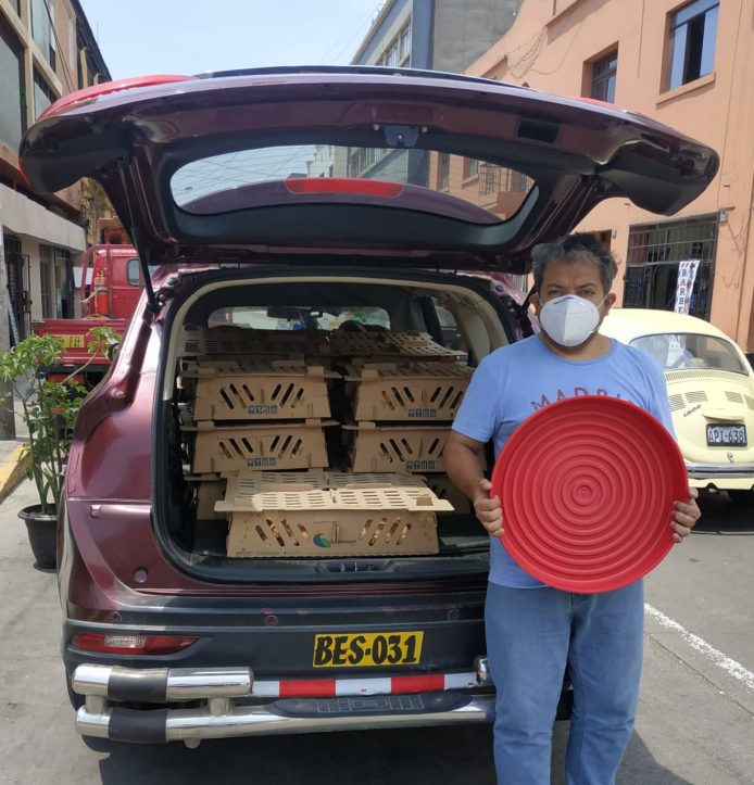 Delivery de Pollitas - Entrega Segura